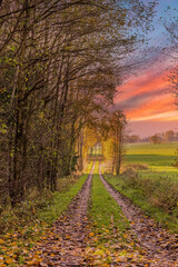 forest trail in autumn with clouds in the evening