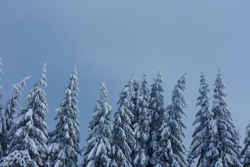Beautiful winter landscape with snow covered trees