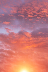 Naklejka na ściany i meble Soft sunrise, sunset pink violet orange sky with sun, clouds background texture