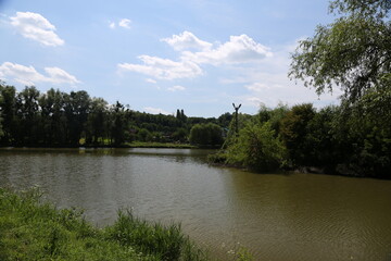 Summer landscape. The lake in the park. Ukraine
