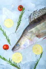 chilled raw fish zander is on crushed ice top view