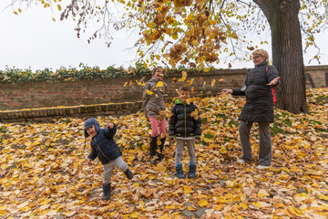 A mother with three children is playing with autumn leaves. Family Playing With Autumn Leaves In Garden 