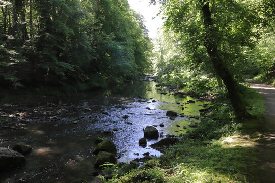Pforzheim, Baden-W&uuml;rttemberg/ Germany - June 02 2019: In a park located at the river Wuerm close to town Pforzheim, Germany