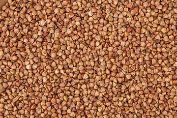  Close-up buckwheat background.Buckwheat. fresh buckwheat.