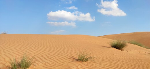 sand dunes in the desert