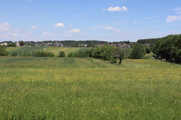 Böblingen, Baden-Wuerttemberg/ Germany - June 03 2019: In the fields outside of Boeblingen - nice sunny day in green environment