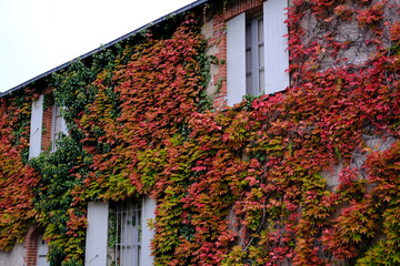 Some facades at le Pouliguen in the west of France.