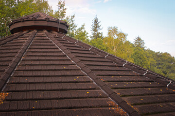 Dome roof with tiles, on the background you can see the tops of trees.