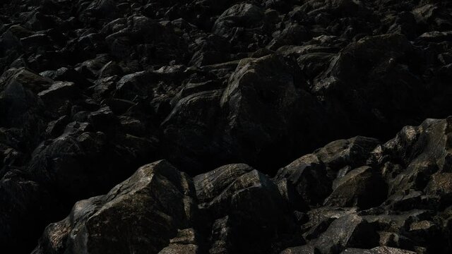 Cinematic Grungy Dark Forest Rocks