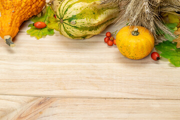 Thanksgiving background. Autumn Natural harvest with rye spike orange pumpkin, fall dried leaves,...