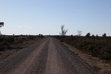 Fototapeta na wymiar Lonely unpaved street in the middle of nowhere, Sweden