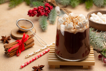 Christmas or New Year card with hot chocolate or cocoa with marsmallows,cinnamon,anise stars and decorative tree branches.Winter hot cocktail.