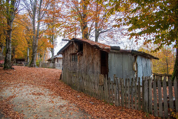 old wooden house