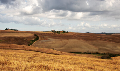 Fototapeta premium Val d'Orcia