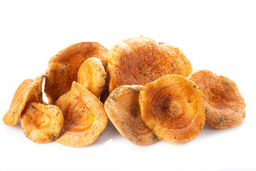 Níscalos aislados sobre fondo blanco