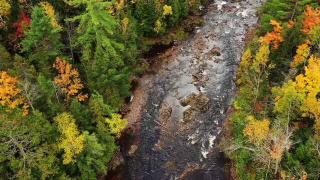 Beautiful autumn aerial view flying down and following the Montreal River heading over Saxon Falls towards the power house and footbridge with rock formations and colorful fall foliage and evergreens.