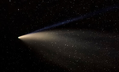 Comet NEOWISE C/2020 F3 