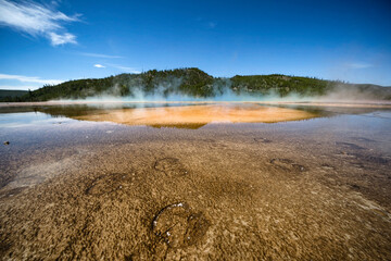 Grand Prismatic Moose Tracks