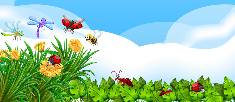 Empty nature background with many different insects