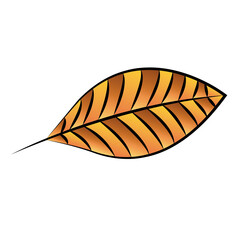 Dry autumn leaf. Autumn season - Vector illustration