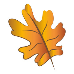 Obraz premium Dry autumn leaf. Autumn season - Vector illustration