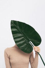 Model in studio. Casual look.  Palm leaf. Fashion minimalist concept