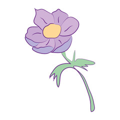 Isolated flower icon. Spring season - Vector illustration