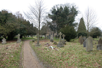 Old English cemetery gravestones close ups among the trees, serenity, piece, RIP, resting place,...