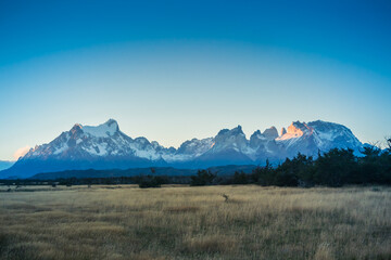 Obraz premium Torres del Paine National Park, Chile.