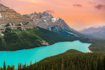 Pink, orange sunset at Peyto Lake in Banff National Park Alberta, Canada with bright blue lakes below and woods, forest, wilderness view little snow on mountain taken in the summer in North America. 