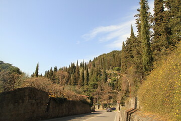 Fiesole
Town in Italy