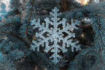 Snowflake on a pine tree. Christmas decoration. Winter scene. Frozen. Outdoors.
