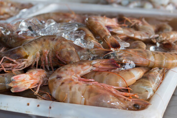 Fresh shrimp with shells and head preserved in ice. Fishmongers and fish markets. Seafood.