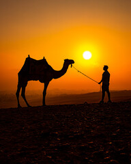 Silhouette of camel in the Sahara Desert of Egypt