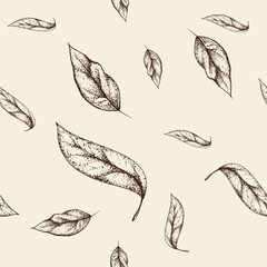 Fototapeta premium Vector seamless pattern with several sprigs of tea tree leaves on a yellow pastel background. Graphic artwork with imitation of or pen. Picture for packaging design of cosmetics, medicines, textiles.