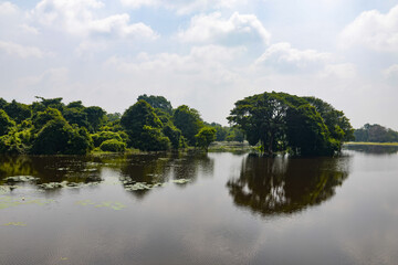 Fototapeta na wymiar Bayou Sri Lankais