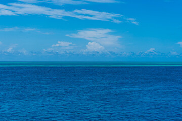Obraz premium coral reef and blue sky