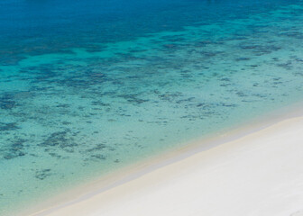 coral reef near the beach