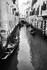 Gondoles à Venise