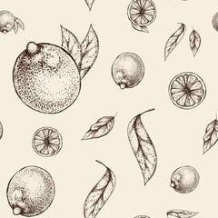 Vector seamless pattern with vintage whole lemon, slices and leaves on a beige background. Images for the design of packaging juice, textiles, backgrounds. Cut citrus fruit. Freehand drawing imitation