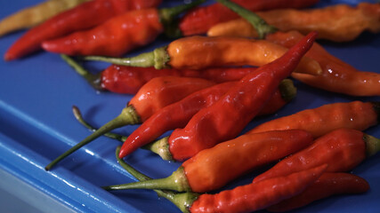 Fresh and moist red chilies. Some are orange and yellow
