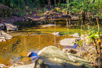 View of a small river stream in the Fall