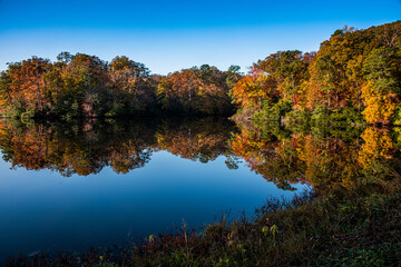 Fototapeta na wymiar Colors reflected in the pond