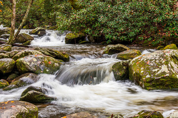 Fototapeta na wymiar water flowing in roaring fork creek