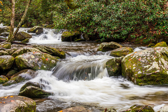 Water Flowing In Roaring Fork Creek