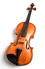 Plakat Violin.