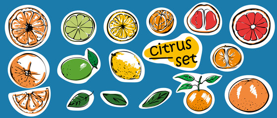 Set of sticker packs of citrus fruits. Whole and sliced Orange, tangerine, grapefruit, lemon, lime. Isolated vector illustration on a blue background.