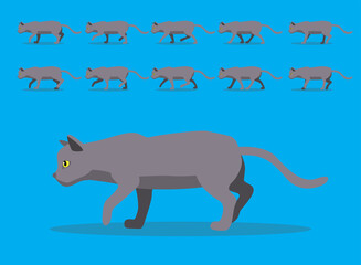 Animal Animation Sequence Russian Blue Cat Cartoon Vector