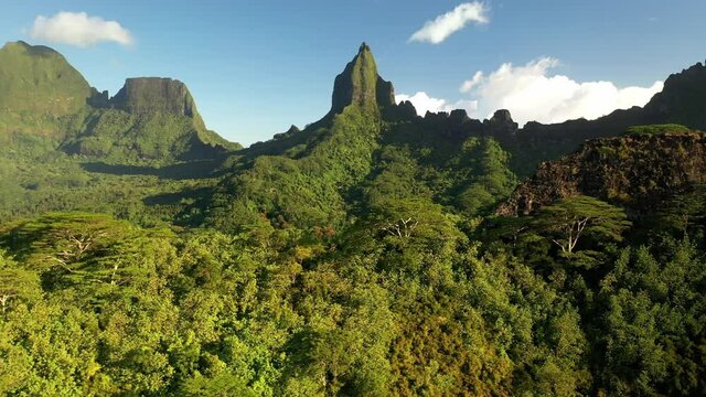 Drone 4k Tahiti. Tropical green jungle forest in Moorea, French Polynesia. Mount Rotui landscape, mountain nature. Exotic travel vacation getaway, romantic honeymoon destination.