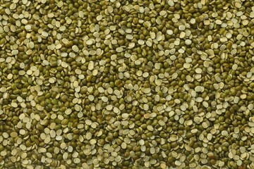 Split Mung Bean Lentils, Green Moong Bean, Mung Gram, Vigna Radiata, Green Gram, Golden Gram...